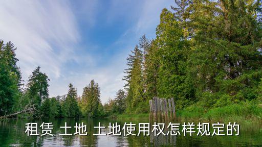 租賃 土地 土地使用權(quán)怎樣規(guī)定的