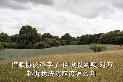  借款協(xié)議簽字了,但沒收到款,對方起訴我法院應(yīng)該怎么判