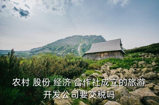 農(nóng)村 股份 經(jīng)濟(jì) 合作社成立的旅游開發(fā)公司要交稅嗎