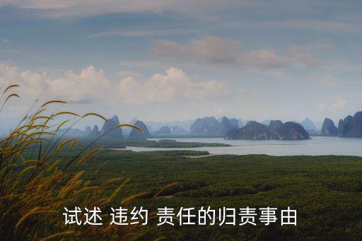 試述 違約 責(zé)任的歸責(zé)事由