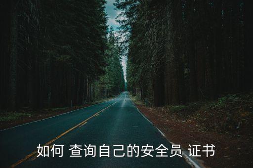 國家安全生產資格證書查詢
