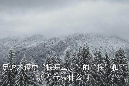 足球術(shù)語中“梅開二度”的“梅”和“度”代表什么啊