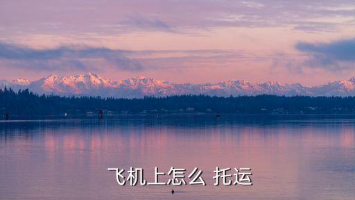  飛機(jī)上怎么 托運(yùn)