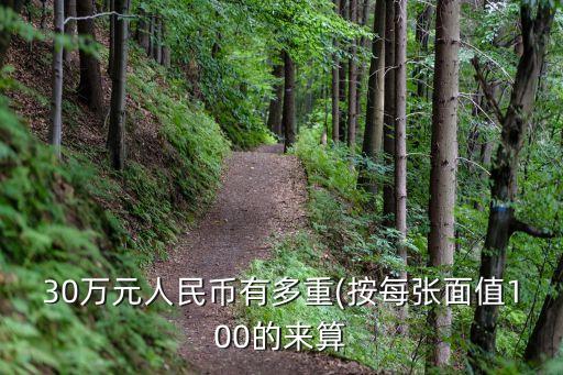 30萬大寫,300元大寫