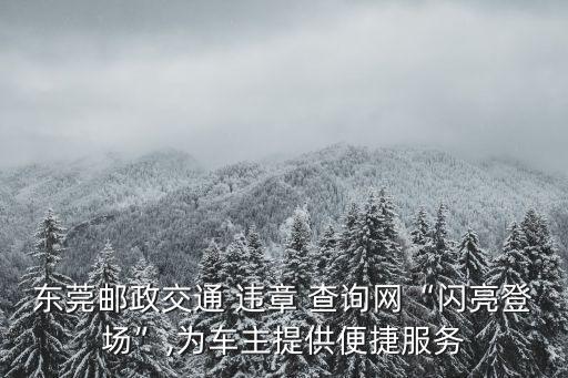 東莞郵政交通 違章 查詢網(wǎng)“閃亮登場”,為車主提供便捷服務