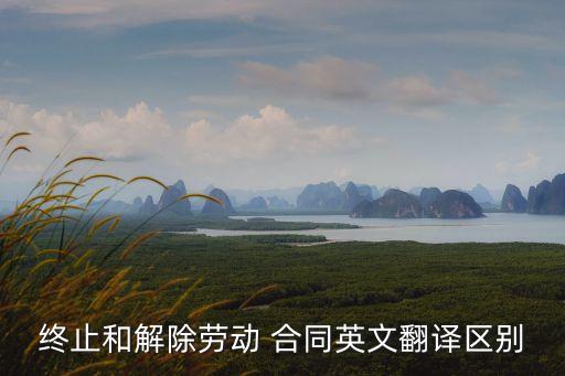 撤銷合同用法律英語怎么說,電子商務(wù)及法律英語怎么說