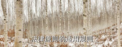  法律原則的適用規(guī)則