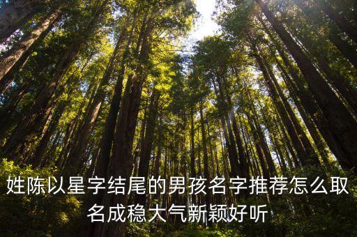 姓陳以星字結(jié)尾的男孩名字推薦怎么取名成穩(wěn)大氣新穎好聽(tīng)