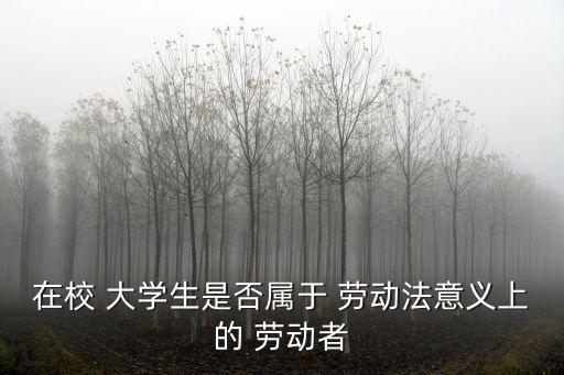 在校 大學(xué)生是否屬于 勞動法意義上的 勞動者