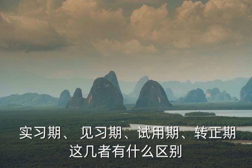  實習(xí)期、 見習(xí)期、試用期、轉(zhuǎn)正期這幾者有什么區(qū)別