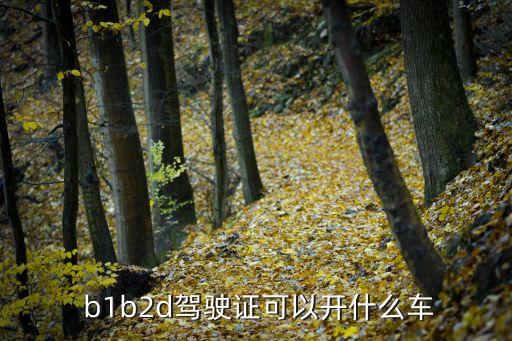  b1b2d駕駛證可以開什么車