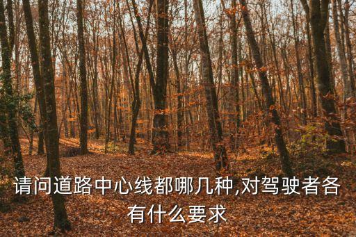 停車讓行線,路口最前端的雙白虛線是停車讓行線