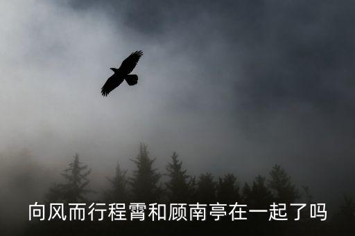 向風而行程霄和顧南亭在一起了嗎
