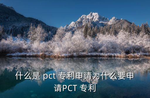 pct專利