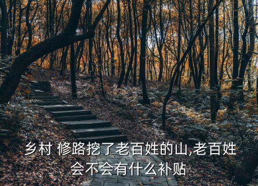 鄉(xiāng)村修路