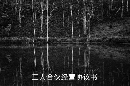 三人合伙經(jīng)營(yíng)協(xié)議書