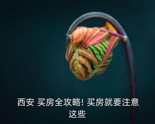西安買房政策,西安購(gòu)房政策最新消息2023
