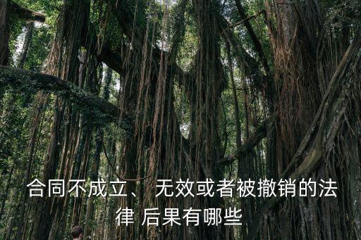民法典 合同無效后果