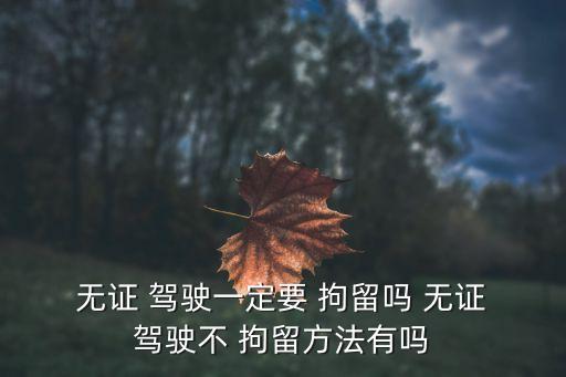  無證 駕駛一定要 拘留嗎 無證 駕駛不 拘留方法有嗎