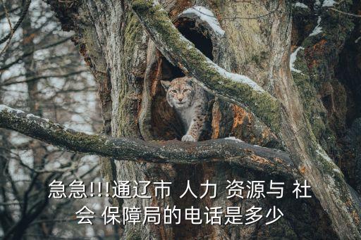 急急!!!通遼市 人力 資源與 社會 保障局的電話是多少