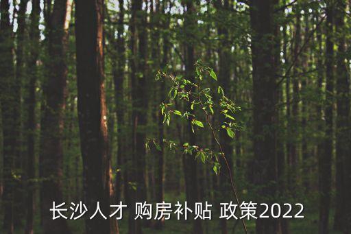  長沙人才 購房補貼 政策2022