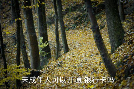  未成年人可以開通 銀行卡嗎
