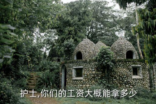 護(hù)士一個(gè)月多少錢,精神病醫(yī)院護(hù)士一個(gè)月多少錢