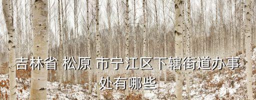 吉林省 松原 市寧江區(qū)下轄街道辦事處有哪些
