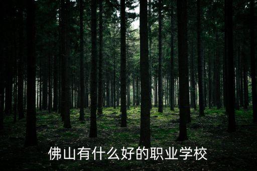 佛山有什么好的職業(yè)學(xué)校