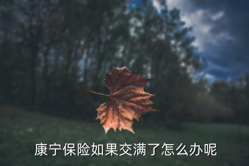 康寧終身保險