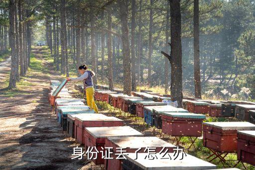  身份證丟了怎么辦