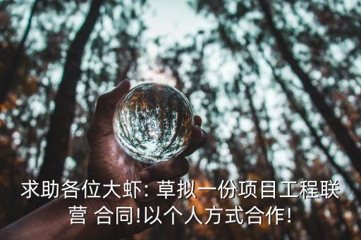 求助各位大蝦: 草擬一份項(xiàng)目工程聯(lián)營 合同!以個人方式合作!