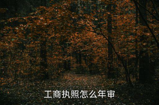 工商執(zhí)照怎么年審