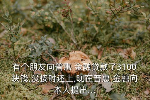 有個(gè)朋友向普惠 金融貸款了3100塊錢,沒按時(shí)還上,現(xiàn)在普惠 金融向本人提出...