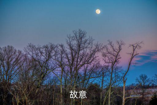 不是故意