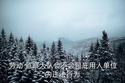 勞動(dòng)監(jiān)察保障條例,廣東省勞動(dòng)監(jiān)察保障條例