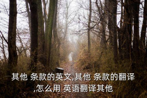 其他 條款的英文,其他 條款的翻譯,怎么用 英語翻譯其他
