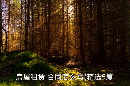 房屋租賃 合同怎么寫(精選5篇