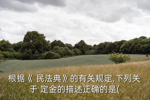 根據(jù)《 民法典》的有關(guān)規(guī)定,下列關(guān)于 定金的描述正確的是(