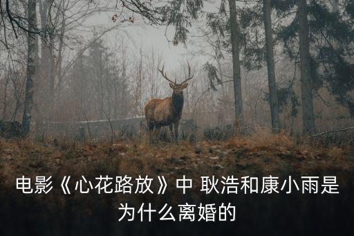 耿浩