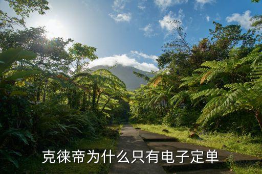 采購訂單電子版,定貨單訂貨單模板