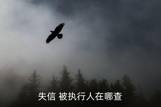 失信 被執(zhí)行人在哪查