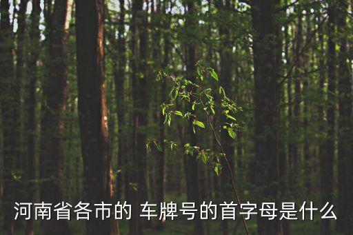 許昌車牌,河南許昌車牌