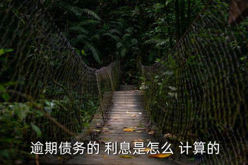  逾期債務(wù)的 利息是怎么 計算的