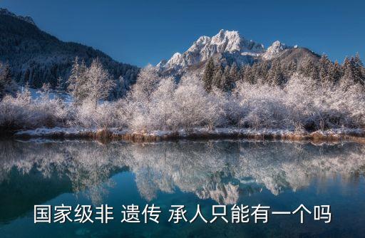 非遺傳承人