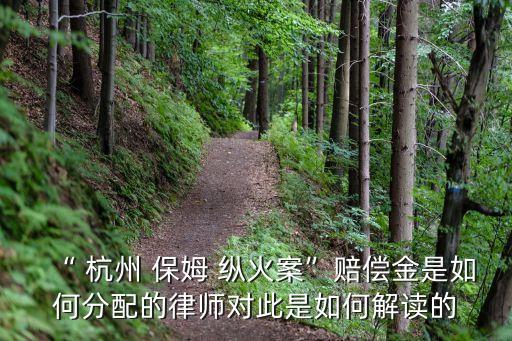 “ 杭州 保姆 縱火案”賠償金是如何分配的律師對(duì)此是如何解讀的
