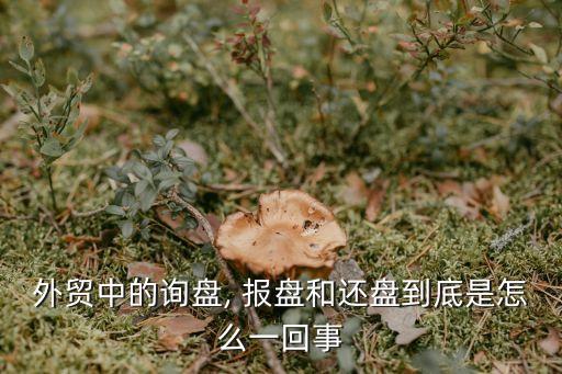 外貿(mào)中的詢盤, 報(bào)盤和還盤到底是怎么一回事