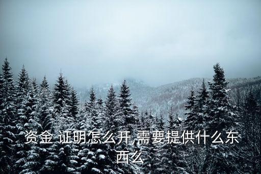  資金 證明怎么開,需要提供什么東西么