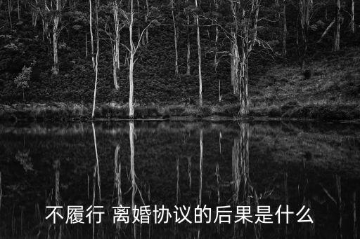 離婚協(xié)議書有沒有強制執(zhí)行力,法院的調解協(xié)議書有強制執(zhí)行力嗎