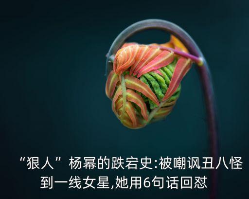 “狠人”楊冪的跌宕史:被嘲諷丑八怪到一線女星,她用6句話回懟